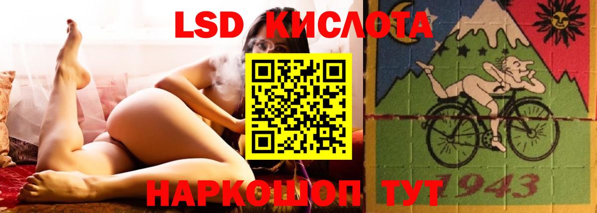Псилоцибиновые грибы Советский