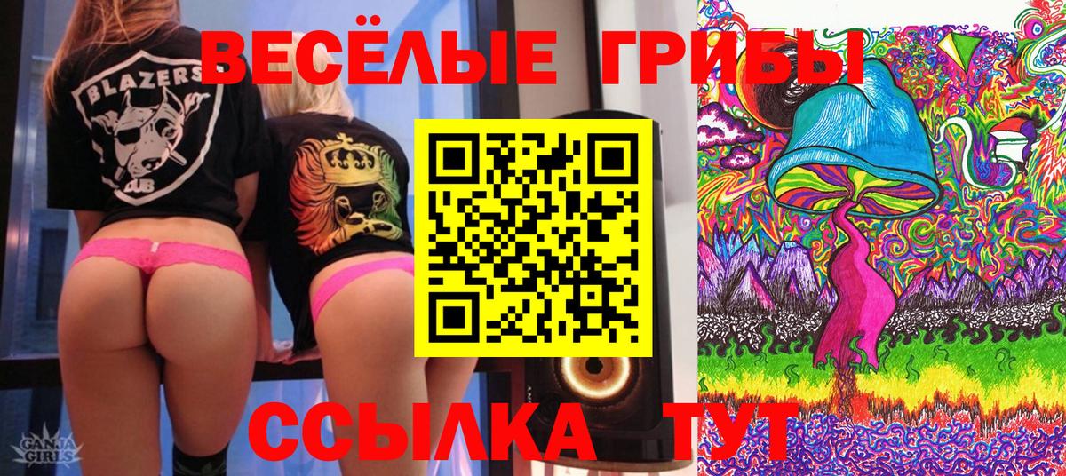 Псилоцибиновые грибы прущие грибы  Вход с VPN  Советский 